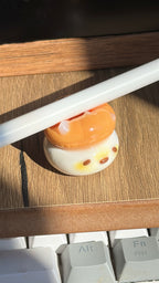 Pokko